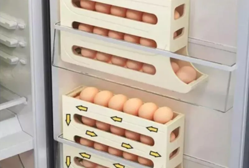 organização e conservação de ovos na rotina doméstica